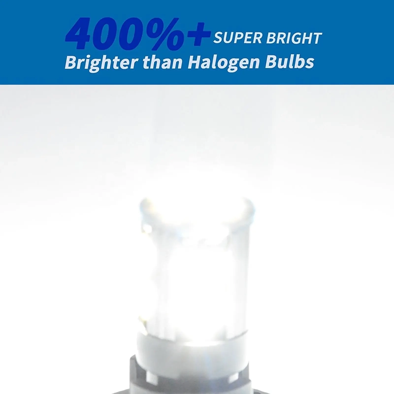 Door Dome Light