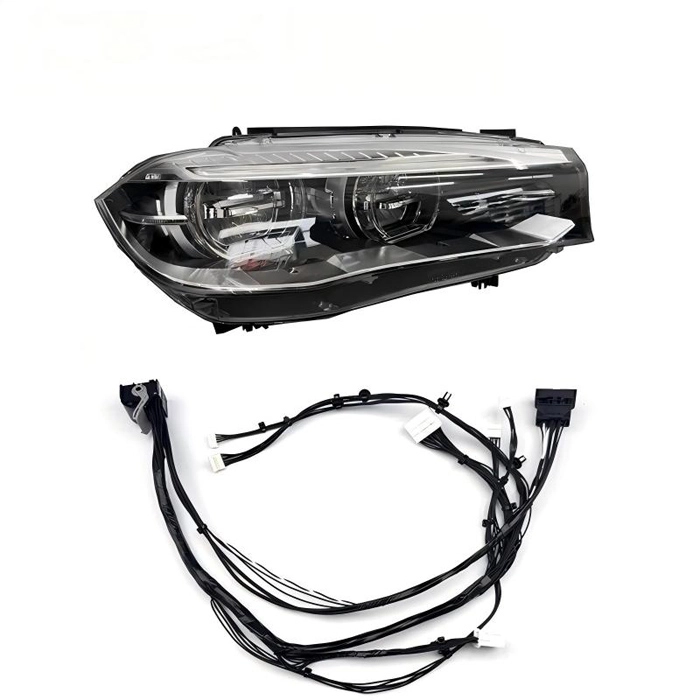Headlight Wiring Harness Plug (2)(1)