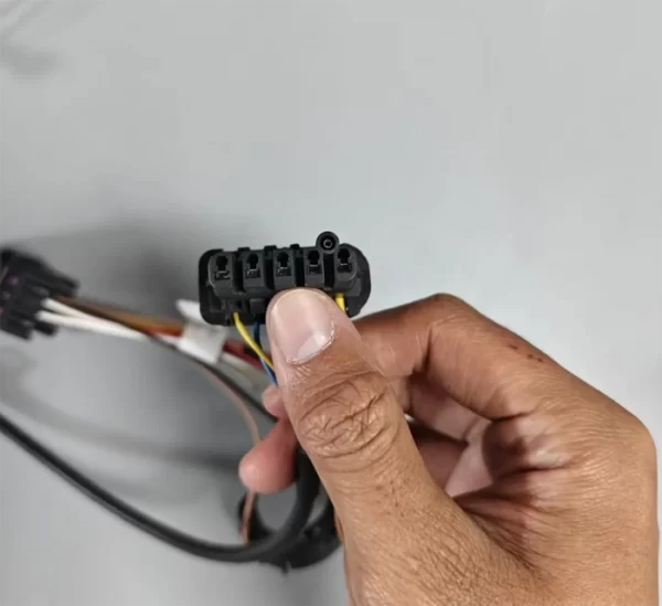 Plug Wiring Harness Assembly (1)