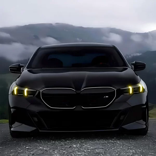 Turning Signal LED Light(1)