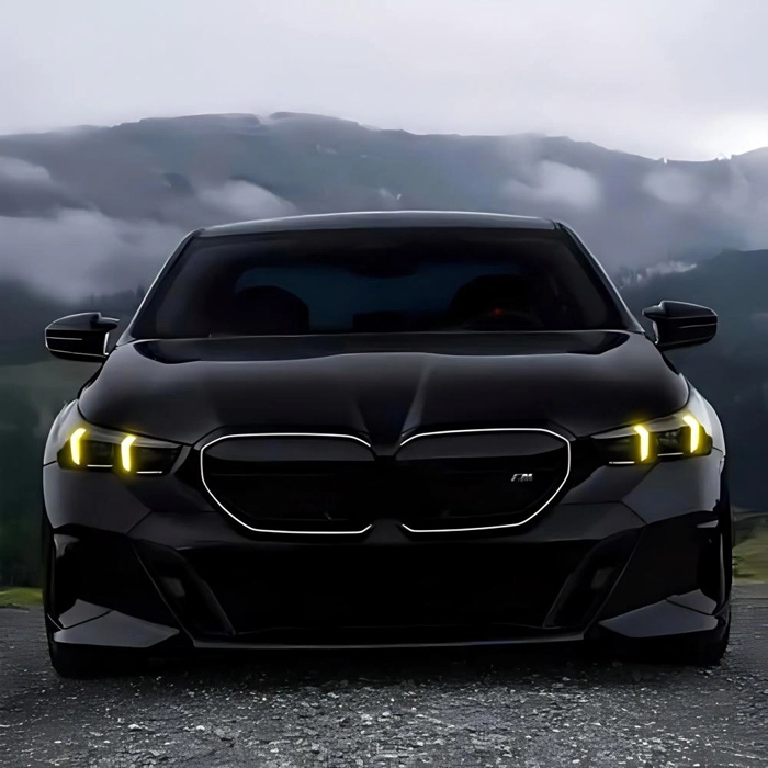 Turning Signal LED Light(1)