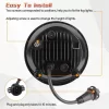 Bumper Fog Light Assembly (2)