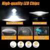 Fog Lamp (2)